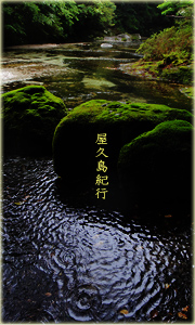 屋久島紀行(BLOG)